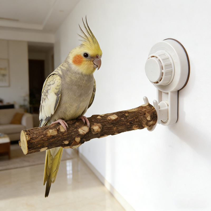 Parrot Stand with Suction Cup  - Woodworking Joint 评论和价格