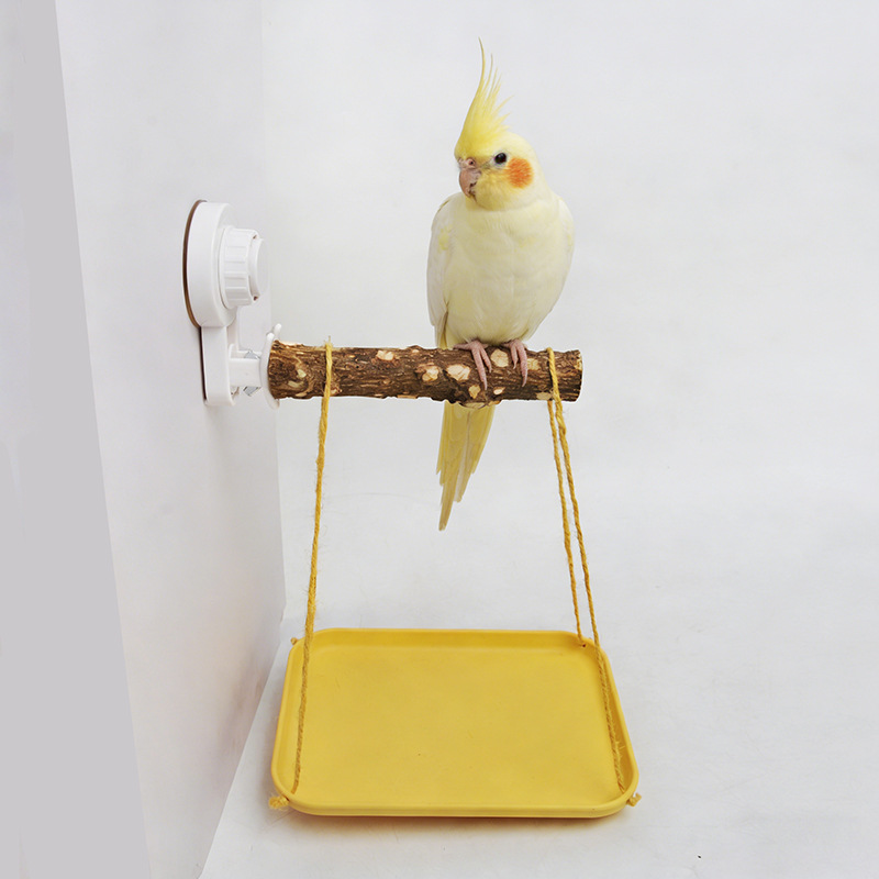 Parrot Stand with Suction Cup  - Woodworking Joint 评论和价格